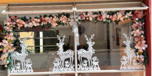 captura de pantalla 2026 01 26 001550